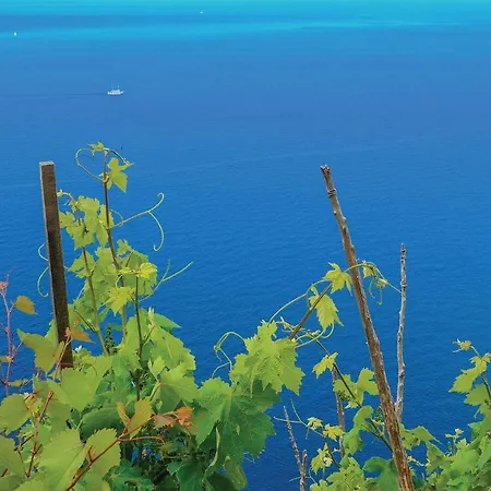 公寓 One-bedroom With Sea View In 奥瑞比克
